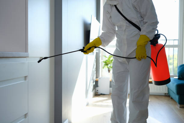 Best Certified Mold Removal  in Farmersville, OH