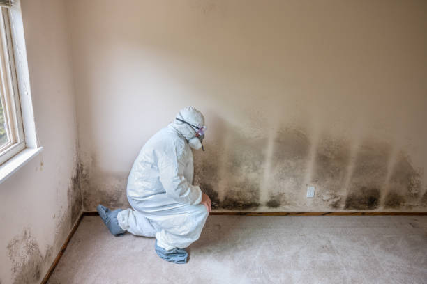 Best Crawl Space Mold Removal  in Farmersville, OH